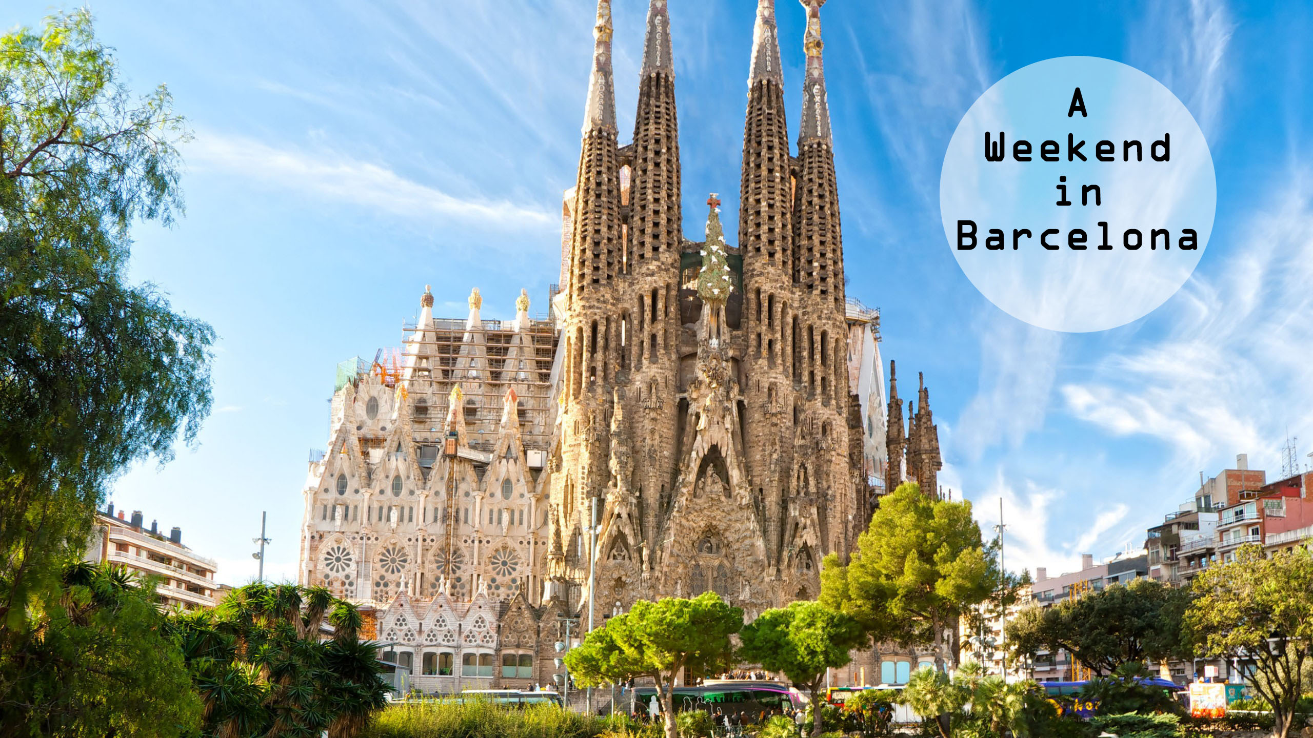 Top 5 Tips on how not to Get Screwed by a Landlord in Barcelona