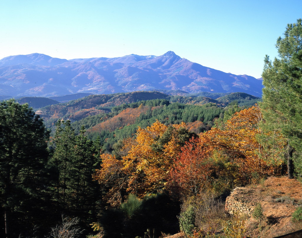 Montseny Guilleries Trail Running Barcelona